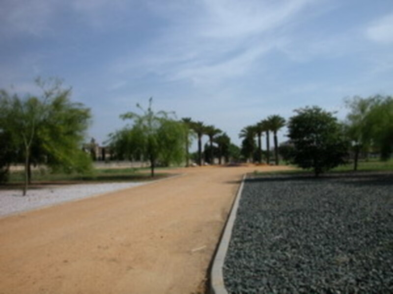 El Monasterio de Santa María de Las Cuevas de Sevilla estrena jardines