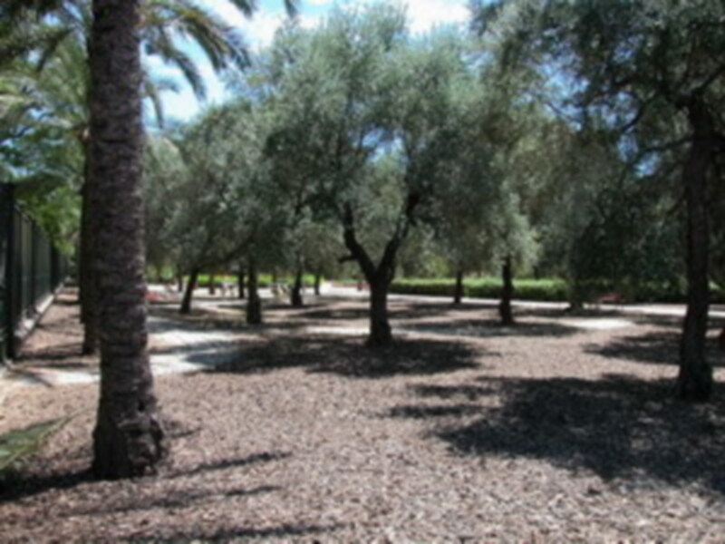 La xerojardinería permite ahorrar agua y reducir el coste de mantenimiento de los parques y jardines.