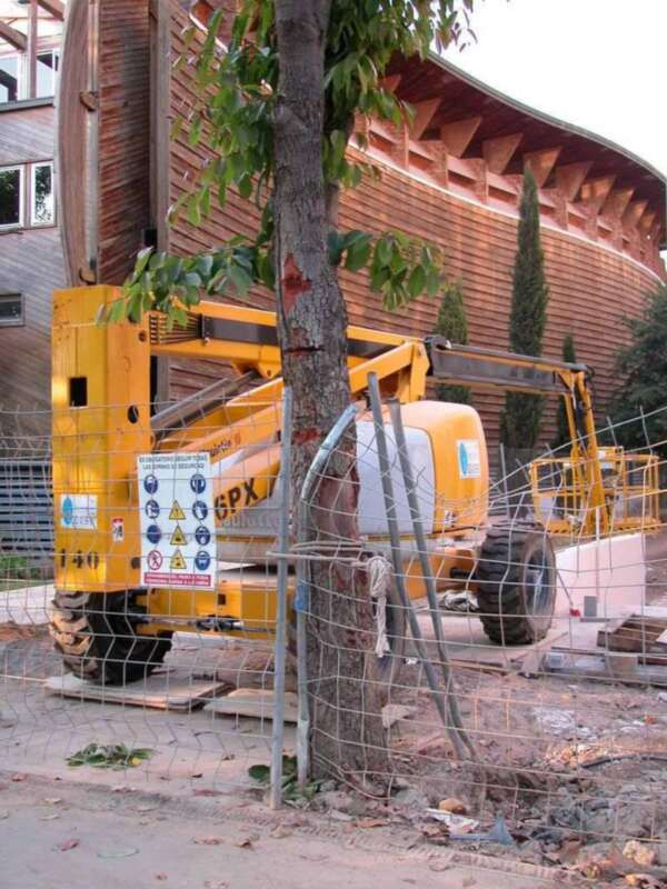 Continúa la agresión al arbolado en el Parque Tecnológico de Sevilla