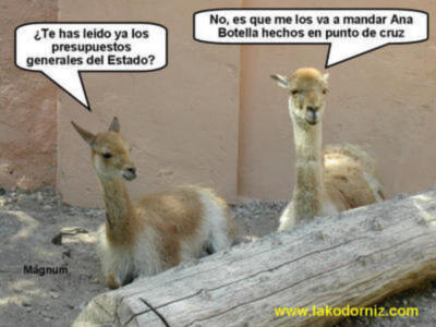 AMPLIO DEBATE SOBRE LOS PRESUPUESTOS GENERALES DEL ESTADO