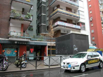 Arboles muertos en la calle Virgen de Luján