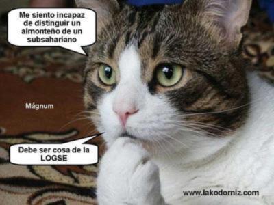 LÓGICAS CONFUSIONES