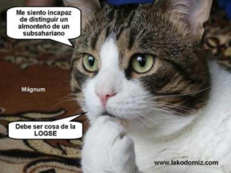 LÓGICAS CONFUSIONES