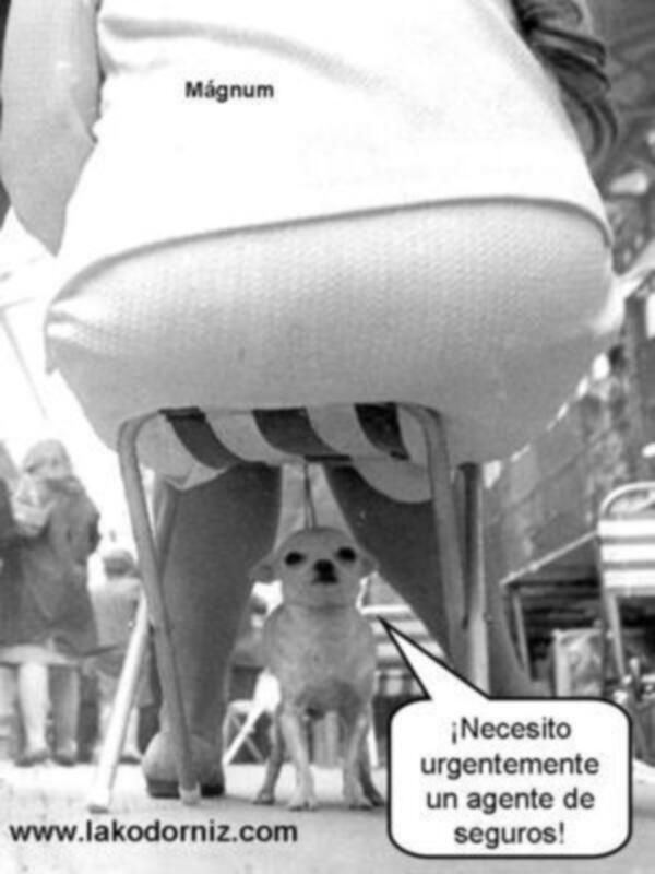 PELIGRO GRAVE E INMINENTE