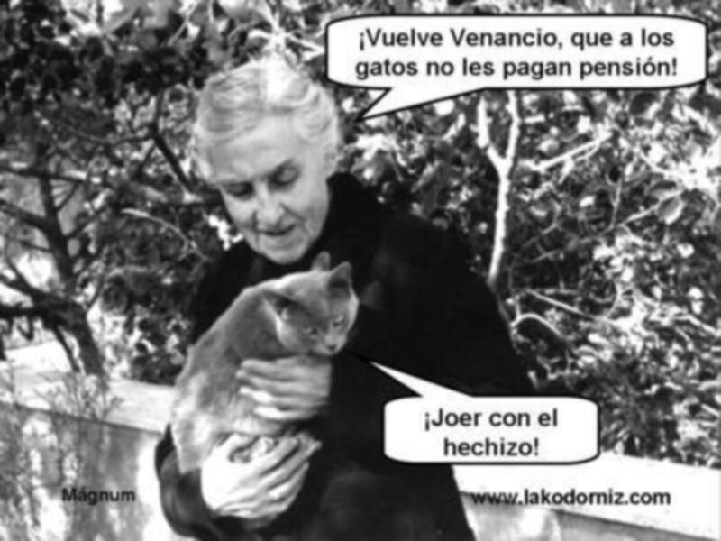 ¿DÓNDE ESTÁ MI MARIDO?