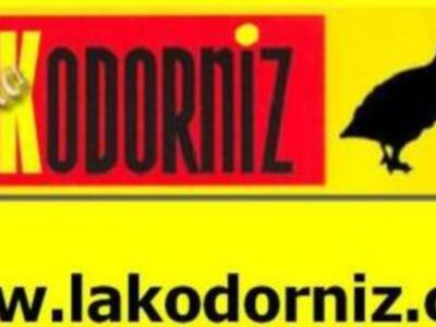 Aparece una nueva edición de la Revista de Humor La Kodorniz