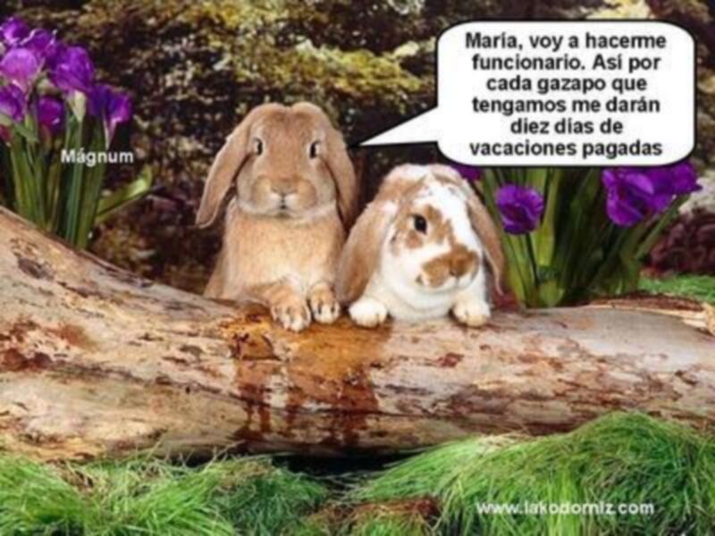 FUNCIONARIOS: PERMISOS POR PATERNIDAD