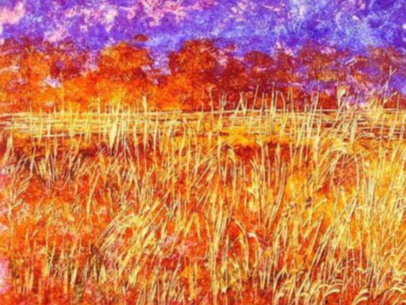 La exposición El Quijote: para un color una quimera, en Granada