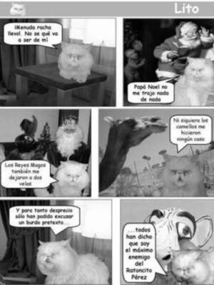 DECEPCIÓN NAVIDEÑA