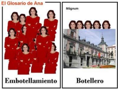EL GLOSARIO DE ANA II