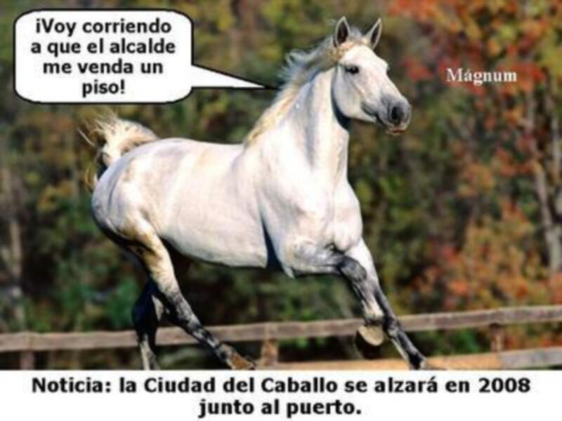NUEVA CIUDAD DEL CABALLO