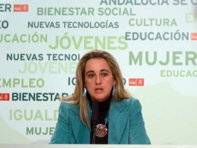 Castillo asegura que el informe del Consejo Escolar supone un antes y un después para la mejora de la convivencia en los centr