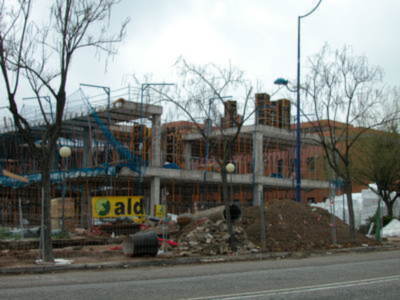 Daños en el arbolado de la avenida Americo Vespucio
