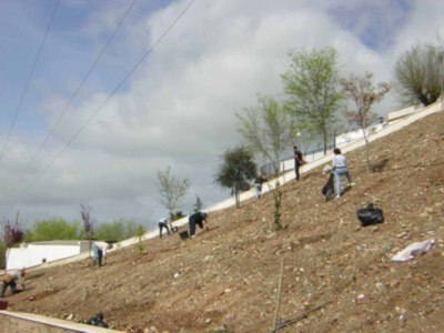 IU denuncia la carencia y degradación de zonas verdes en Cantillana