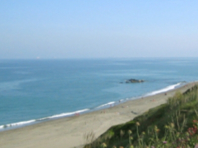 Naturaleza Viva con Entorno Andaluz