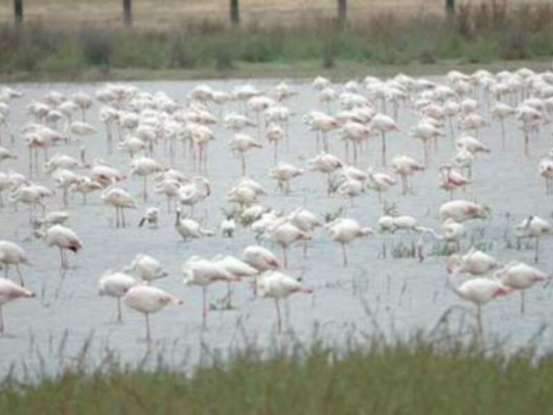 ADAD PROMOCIONA EL TURISMO COMARCAL EN TIERRA ADENTRO