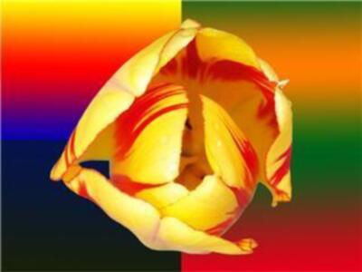 el día 25 se inaugura la exposición de Javier Abellá en la Galería Concha Pedrosa