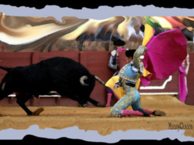 Continúa el éxito del fotógrafo sevillano Manny Rocca con su  exposición Estética taurina en el Museo Taurino de Roquetas de Mar (Almería).