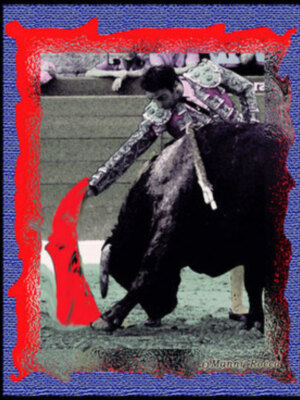 Una nueva imagen de la gran exposición de fotos Estética Taurina obra  del gran fotógrafo y reportero grafico sevillano Manny Rocca.