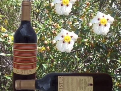  Margarita de  Constantina  presentará un nuevo producto: su vino joven Cistus