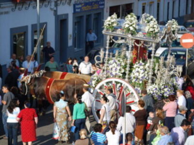 La Hermandad de Nuestra Señora del Rocío de Tocina inicia su camino de peregrinación hacia la aldea almonteña 