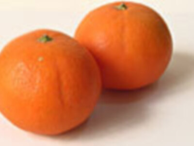 Iniciativa Pionera en Sevilla permite Adquirir Naranjas por Internet