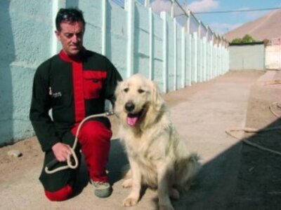 Prensa Chilena Destaca Localización por Perro Método Arcón de Mineros Sepultados