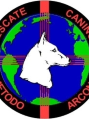 Finaliza Exitosamente Curso Método Arcón en Chile