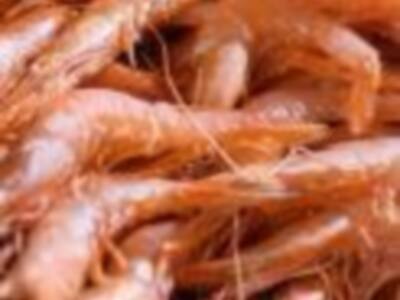 Feria de la Gamba en Sevilla.