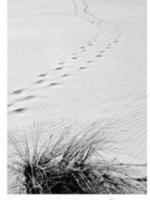 Inauguración de la exposición fotográfica de Miguel Ventura Valladolid, "ROCÍO IN TEMPORE"