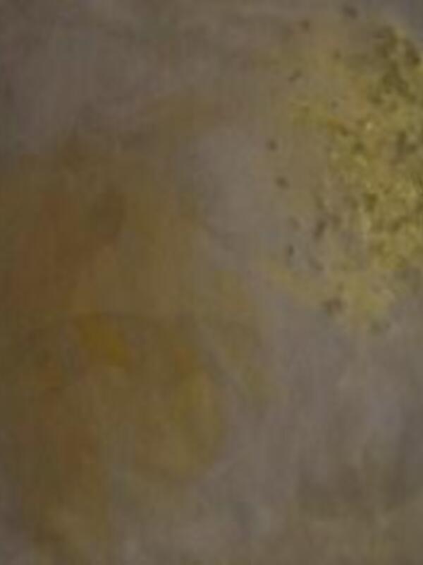 Inaguración de la exposición, Viento del Oeste, de Lourdes Murillo en Sevilla