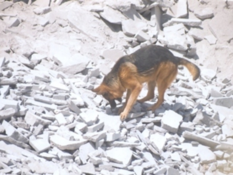 15 Años Salvando Vidas