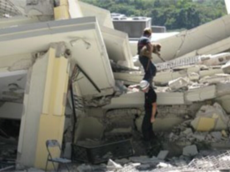 9 Unidades Caninas de Rescate de 5 paises intervienen en Haití con el reconocido método andaluz ARÇÓN