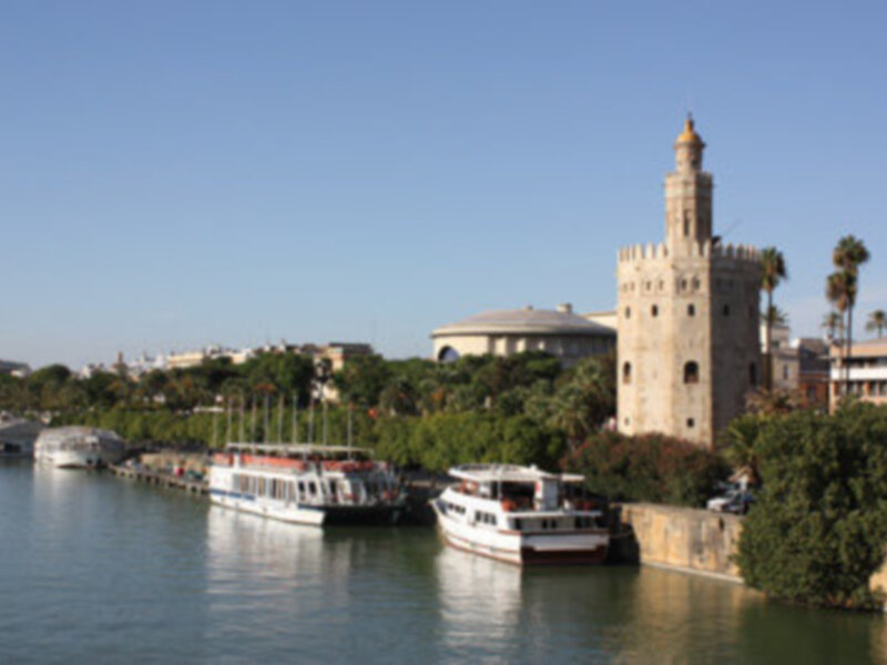 Por fin llega la Primavera Biológica a Sevilla 