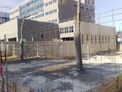 Arboles hormigonados por una constructora en el Parque Tecnológico de Sevilla