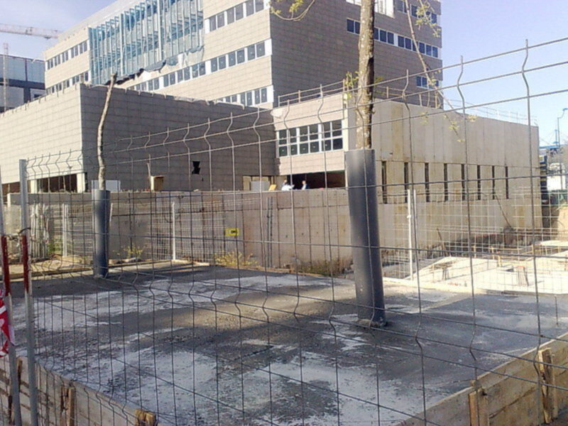 Arboles hormigonados por una constructora en el Parque Tecnológico de Sevilla