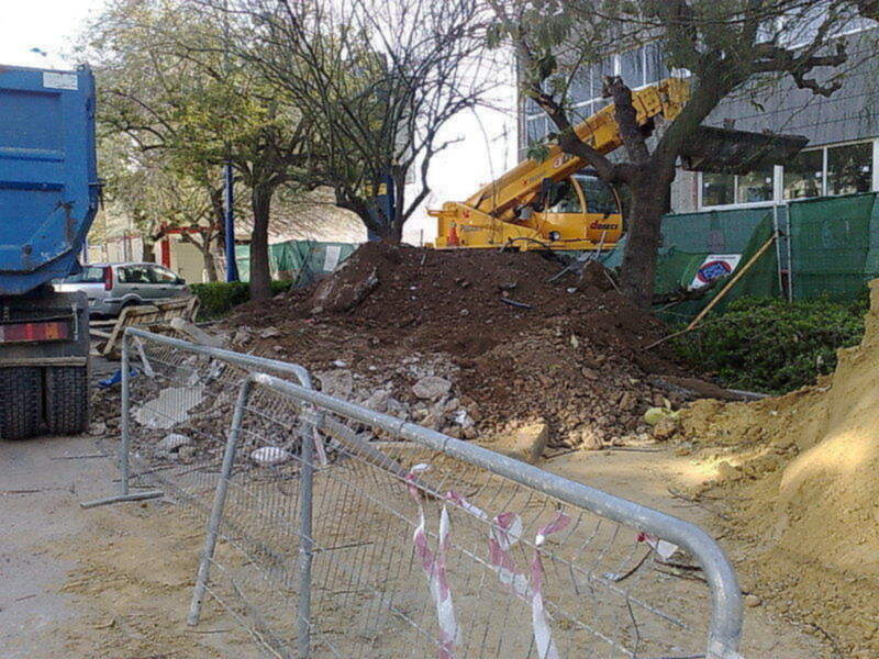 Daños en el arbolado de La Cartuja provocados por las obras que realizan las constructoras.