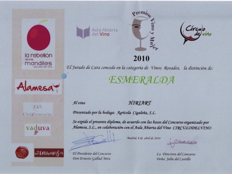 Los mejores vinos españoles de 2010.