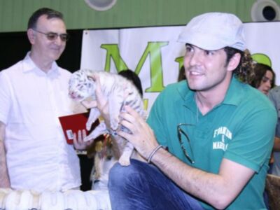 David Bisbal apadrina a un tigre en Sevilla