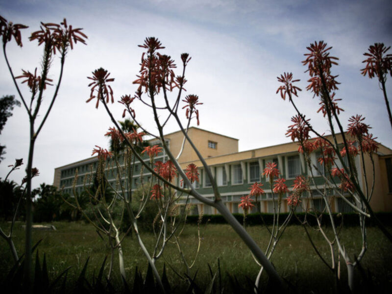 El proyecto sobre Biodiversidad coordinado por la UPO, seleccionado para pasar a la segunda fase de la convocatoria de Campus de Excelencia Internacional