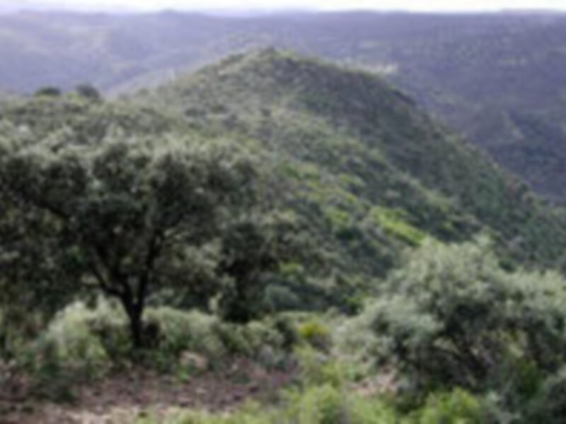 Castilblanco de los Arroyos 