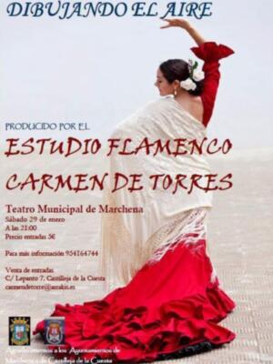 Estudio Flamenco Carmen de Torres