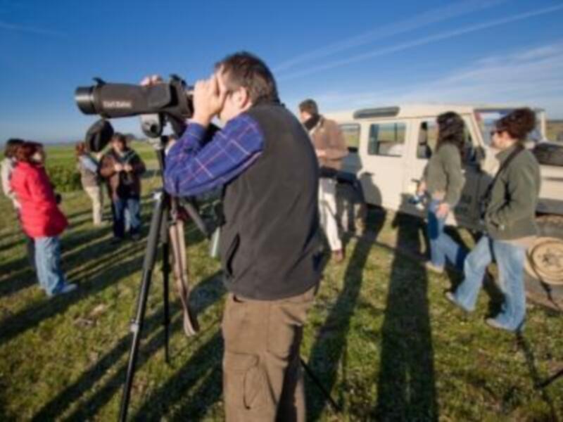 ADAD promocionará el turismo ornitológico del Aljarafe-Doñana en FITUR
