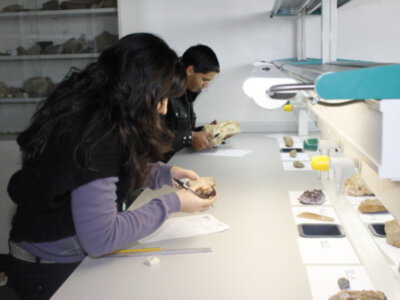 Estudiantes de Bachillerato compiten en la UPO en la Fase Provincial de la II Olimpiada Española de Geología
