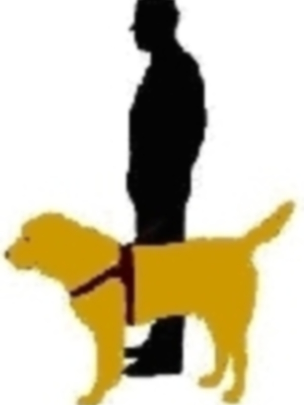 Método Arcón intervendrá en las Jornadas Conmemorativas X Aniversario de la AUPGA (Perros Guías de Andalucía) en Sevilla 