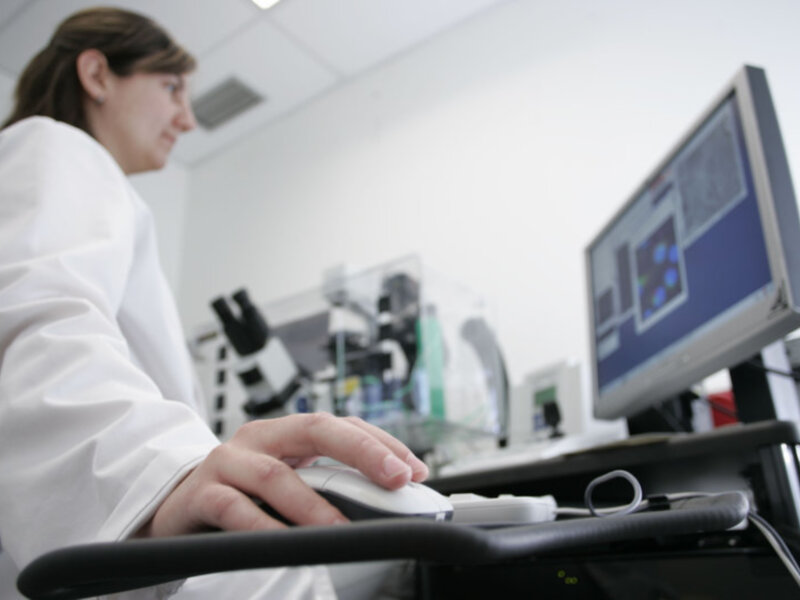 La Universidad Pablo de Olavide, la más productiva a nivel nacional en publicaciones por profesor en Informática