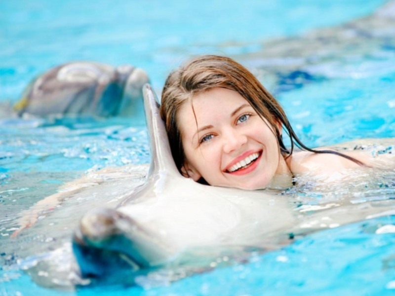 Delfines amigos, una experiencia única en el Gran Hotel Elba Estepona