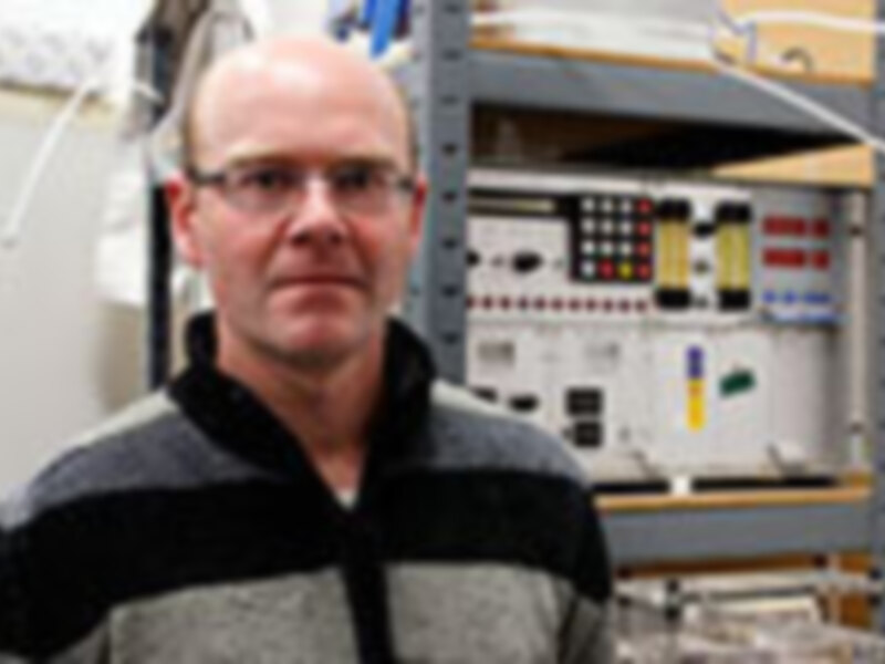 El cambio climático pone en jaque la diversidad del bosque mediterráneo