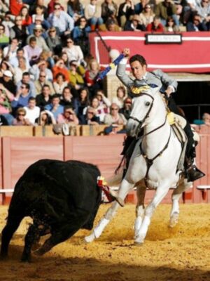 Andy Cartagena y Diego Ventura se acercaron más al triunfo