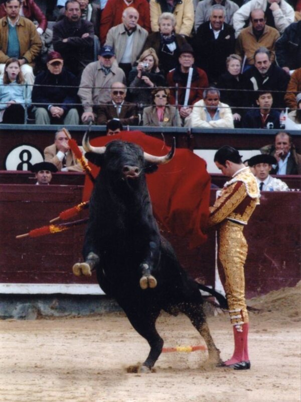 José Luis Torres cuenta con nuevo apoderado